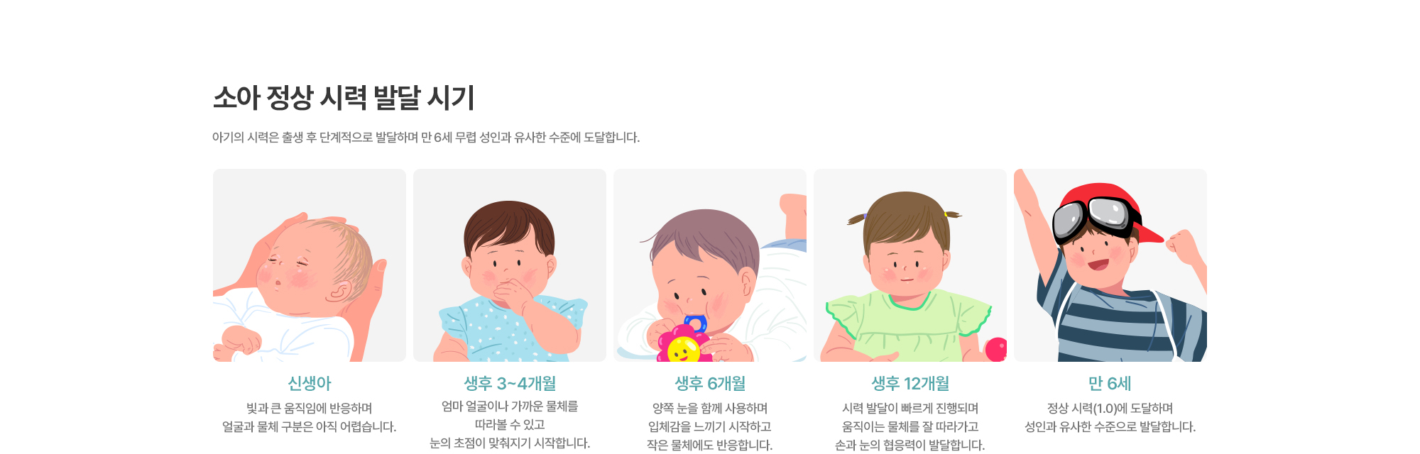 [소아 정상 시력 발달 시기] 신생아 : 빛과 큰 움직임에 반응하며 얼굴과 물체 구분은 아직 어렵습니다. / 생후 3~4개월 : 엄마 얼굴이나 가까운 물체를 따라볼 수 있고 눈의 초점이 맞춰지기 시작합니다. / 생후 6개월 : 양쪽 눈을 함께 사용하며 입체감을 느끼기 시작하고 작은 물체에도 반응합니다. / 생후 12개월 : 시력 발달이 빠르게 진행되며 움직이는 물체를 잘 따라가고 손과 눈의 협응력이 발달합니다. / 만 6세 : 정상 시력(1.0)에 도달하며 성인과 유사한 수준으로 발달합니다.